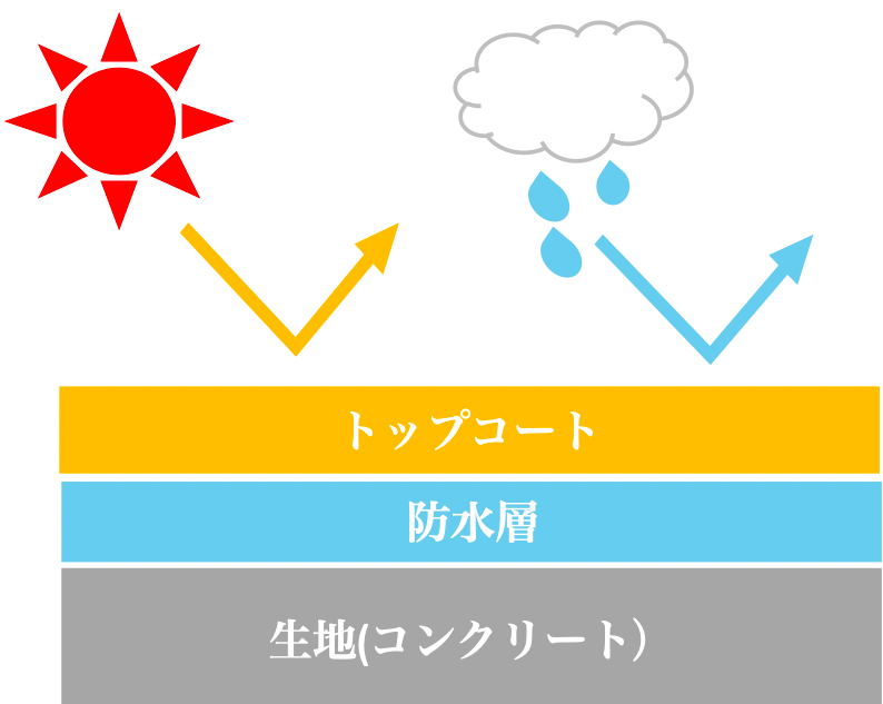 トップコート図